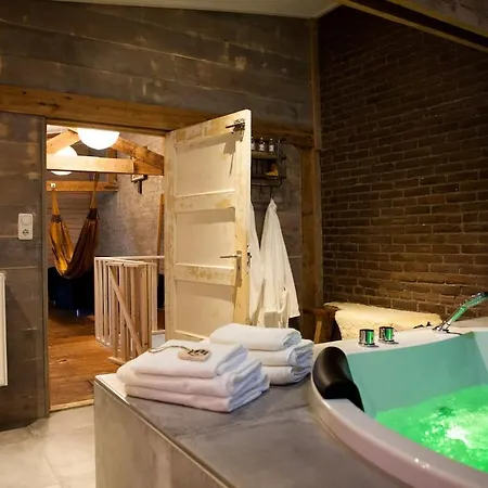 Hut 16 Bed, & Prive Wellness Apartment Zutphen